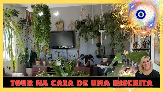 sala decorada com plantas - tour nas plantas de luh Almeida ❤ uma inscrita do canal - tudo lindo