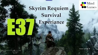 Skyrim Requiem Survival Experiance. Эпизод 37: Типичный Солитьюд.