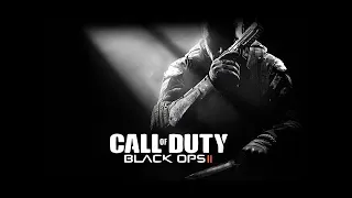 Call of Duty Black Ops 2 [игрофильм]