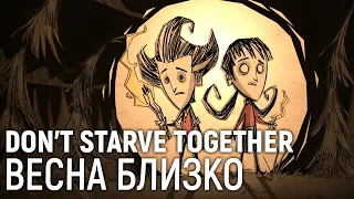 Don't Starve Together. Весна близко