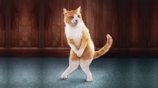 Baby Cats 🔴 Funny & Cute Cats Videos Compilation #29