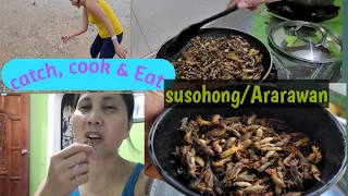 CATCH/ COOK AND EAT, SUSOHONG/ARARAWAN