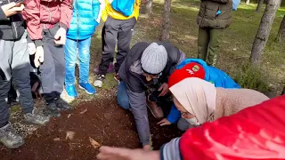 Journée Mondiale de la vie sauvage à Ifrane