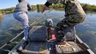 Казахстанская Амазонка. Рыбалка на змееголова в камышовом раю - База Дельта (разливы Балхаша).