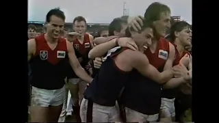 1988 VFL Preliminary Final - Melbourne v Carlton - VFL Park