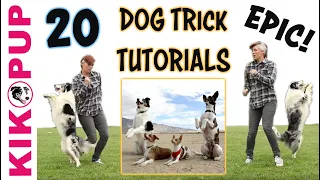 DOG TRICKS - 20 Trick Tutorials!