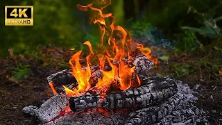 🔥 Cozy Forest Campfire 4K ULTRA HD! - Natural Ambiance, Crackling Fire, Bird Sounds