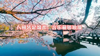 唯美小清新治愈纯音乐温暖人心，人间皆是温柔，音乐藏匿浪漫。