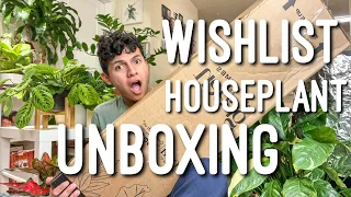 I can't believe Costa Farms! Houseplant Unboxing | Plant Haul