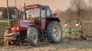 🇮🇹Old Glory🇮🇹 Fiatagri 130-90 Turbo DT + Vittone 3vomero - Iveco Sound-