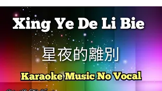 Xing Ye De Li Bie 星夜的離别/星夜的离别 karaoke no vocal