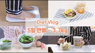 SUB [DIET VLOG] 5일 만에 -3.7kg 🔥ㅣ단기간 다이어트 브이로그ㅣ운동없이 식단으로ㅣ48kg 향하여ㅣ급찐급빠ㅣ폭식 후 대처 l foodvlog