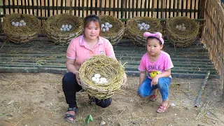 Fertilizing corn plants, Making nests for ducks to lay eggs, planting bamboo for climbing beans