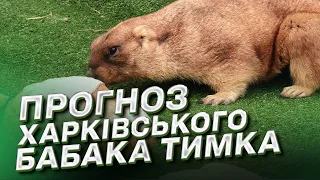 Весна прийде за розкладом! 🌱🦦