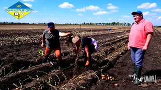 Картопляний блокчейн. Частина 1. Belchim. Omnivent. Чернігівеліткартопля. Агрітема. Астра.