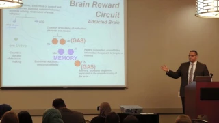 Neuroscience of Addictive Disorders - Belal Hegazy, M.D.