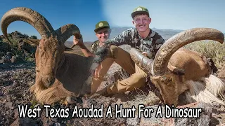 Texas Aoudad Hunt 2017