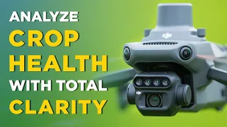 Analisa Kesehatan Tanaman dengan Drone DJI Mavic 3 Multispectral