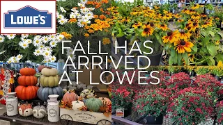 LOWES Inventory Mid August 2023 Fall Has Arrived! Shrubs Daisies Mums Fall Decor Plant Shopping
