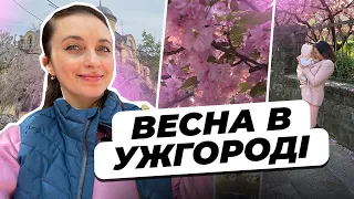 Цвітіння Сакур, Замовлення з IHerb, Ужгород Навесні || Влог