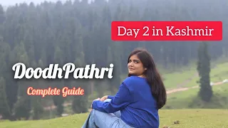 Kashmir Day 2 Itinerary | EP 2 Exploring DoodhPathri | DoodhPathri Complete Travel Guide