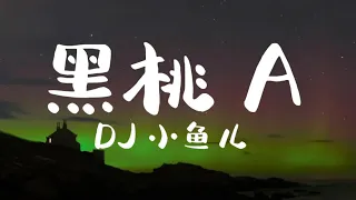 [歌词][1小时]DJ小鱼儿 - 黑桃A (Hey Ah Ah 你是我的宝贝想你的滋味隐隐作祟宝贝宝贝我们干一杯这是你最爱的黑桃A)抖音歌曲