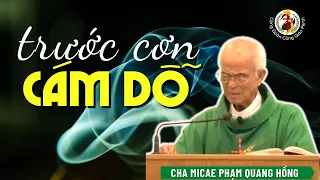 Phải làm gì trước cơn cám dỗ | Cha Phạm Quang Hồng