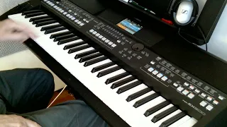 I just called to say i love You (Stevie Wonder), cover by Henry, Yamaha PSR SX600