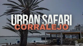 Corralejo walking tour. Unveiling the beauty of Fuerteventura [4K/60fps]
