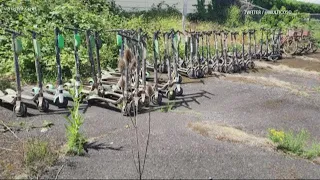 Portland police pull 57 scooters out of a river