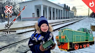 In search of a rare train TGM 23 / Abandoned refrigerator cars and stray dogs