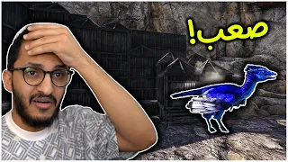 أرك برايمل فير #3 | بناء القلعة وترويض طائر الجليد! Ark Primal Fear