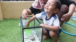 Nyiapin Aquarium Untuk Peliharaan Baru Azufi Udang Lucu Warna Warni