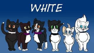 Cat Colour Genetics: Pt 2 - White