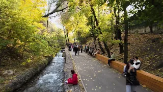Осень в Алматы