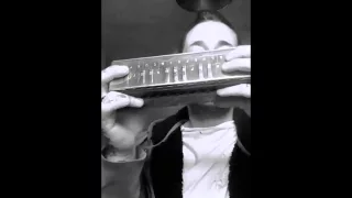 Hohner Bass Harmonica Demonstration