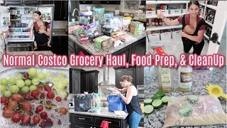 Normal Costco Grocery Haul, Food Prep, Clean Fridge, & Tidy Pantry! Also Dinner Idea WITH PRICES lol