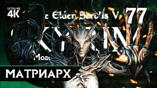 SKYRIM - Прохождение с Модами (1600+ Модов) ▷ Часть 77: Матриарх | Скайрим Сборка Модов 2023