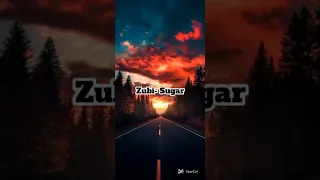 Zubi- Sugar (Slowed)
