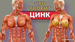 Что будет если принимать ЦИНК каждый день ?  Можно ли ?!