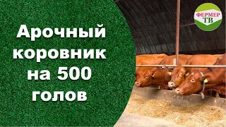 Арочный коровник на 500 голов