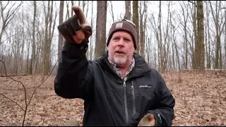 #366 Wind Storm Hangs a Maple, Wildlife Video Attempt Fail
