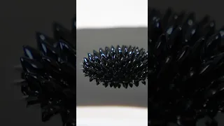 What Else Can Ferrofluid Do?