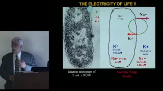 Inventor of the MRI; Raymond Vahan Damadian