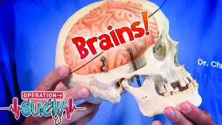 Your Big, Brilliant Brain! 🧠 | Full Episodes | Operation Ouch