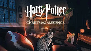 Gryffindor ◈ Christmas Night at Hogwarts 🎄 Harry Potter inspired Holiday Ambience & Soft Music