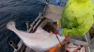 Alaska Halibut Fishing - Hauling the Gear!