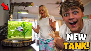 SURPRISING My MOM with Her DREAM *BETTA* FISH AQUARIUM!!