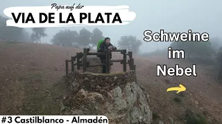 Papa auf der Via de la Plata #3 Schweine im Nebel | Castilblanco – Almadén de la Plata