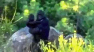 Bigfoot: The Mystery DEEPENS - New Discoveries That Will Change Everything